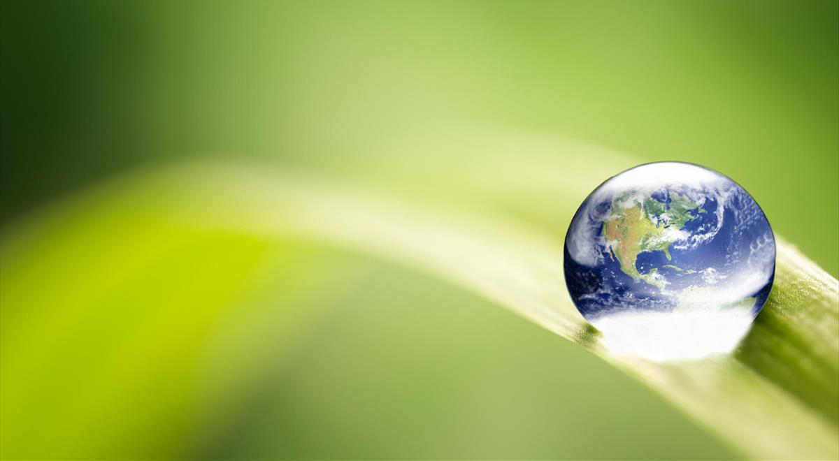 Certificazioni 14001