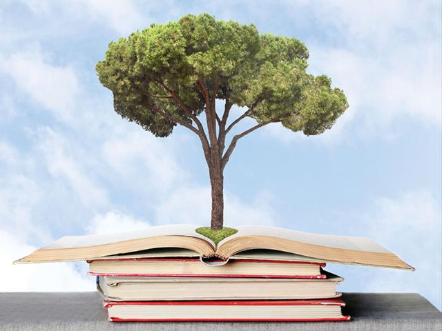 Carta 100% riciclata