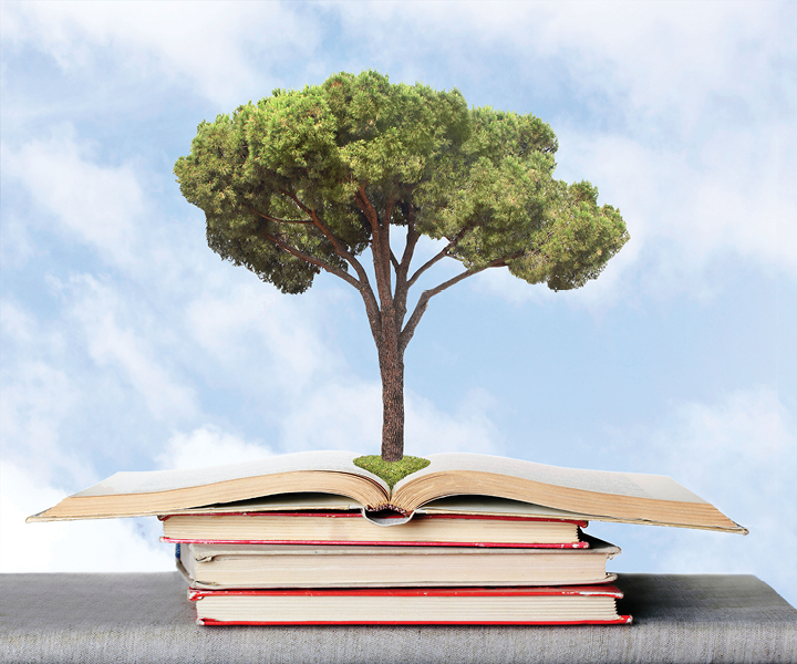 Carta 100% riciclata