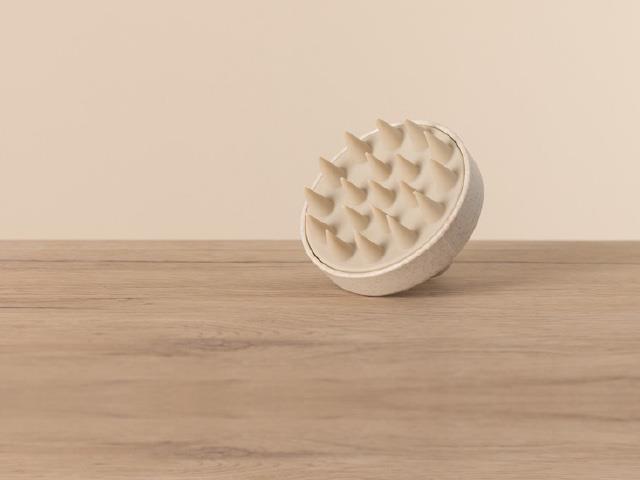 Canvas 2 f2