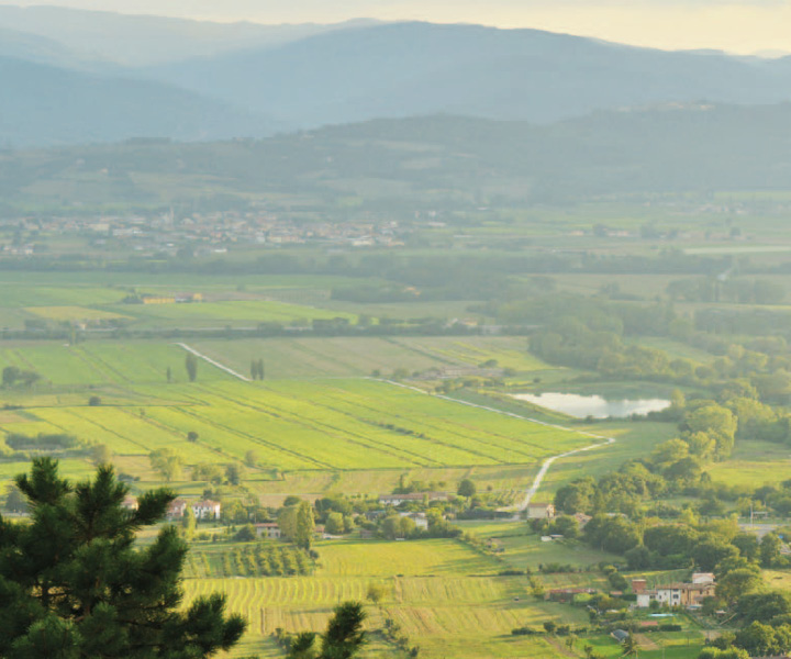 Sostenibilità e Innovazione